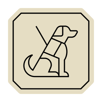 illustration-medium (3).png