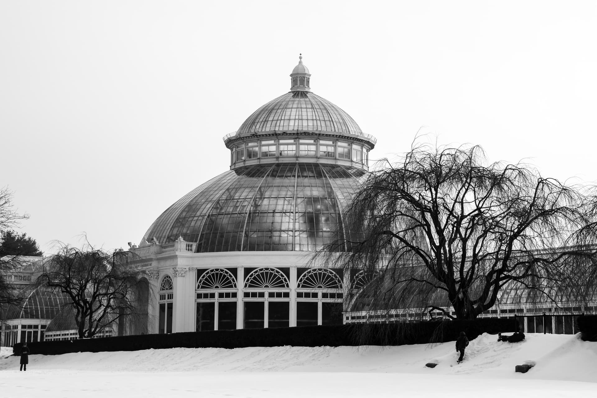 The New York Botanical Garden