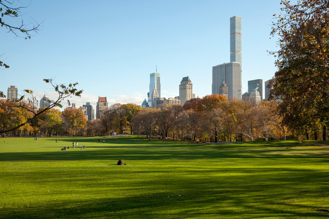 Central Park on a sunny day