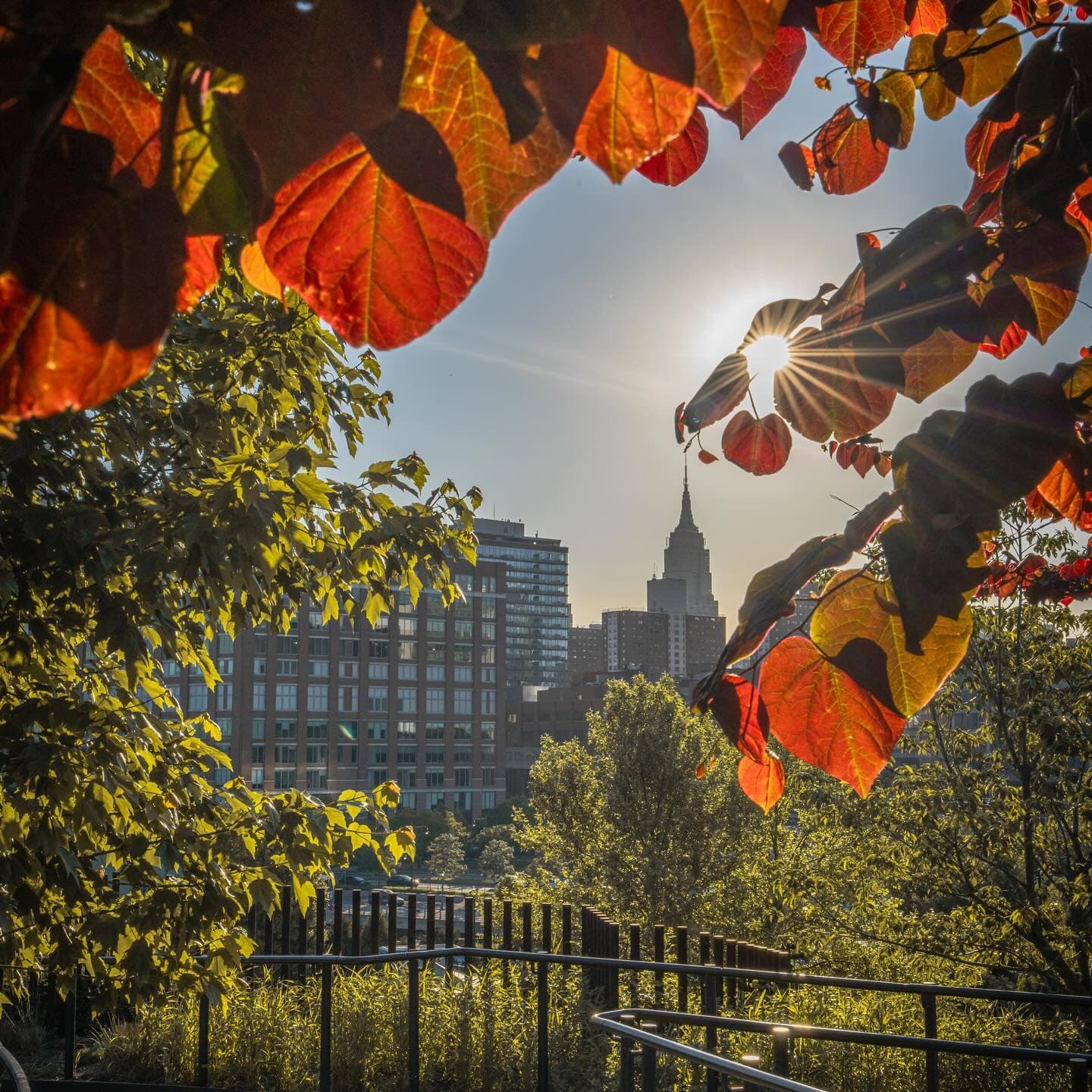 Discover the Perfect Fall Activities in NYC