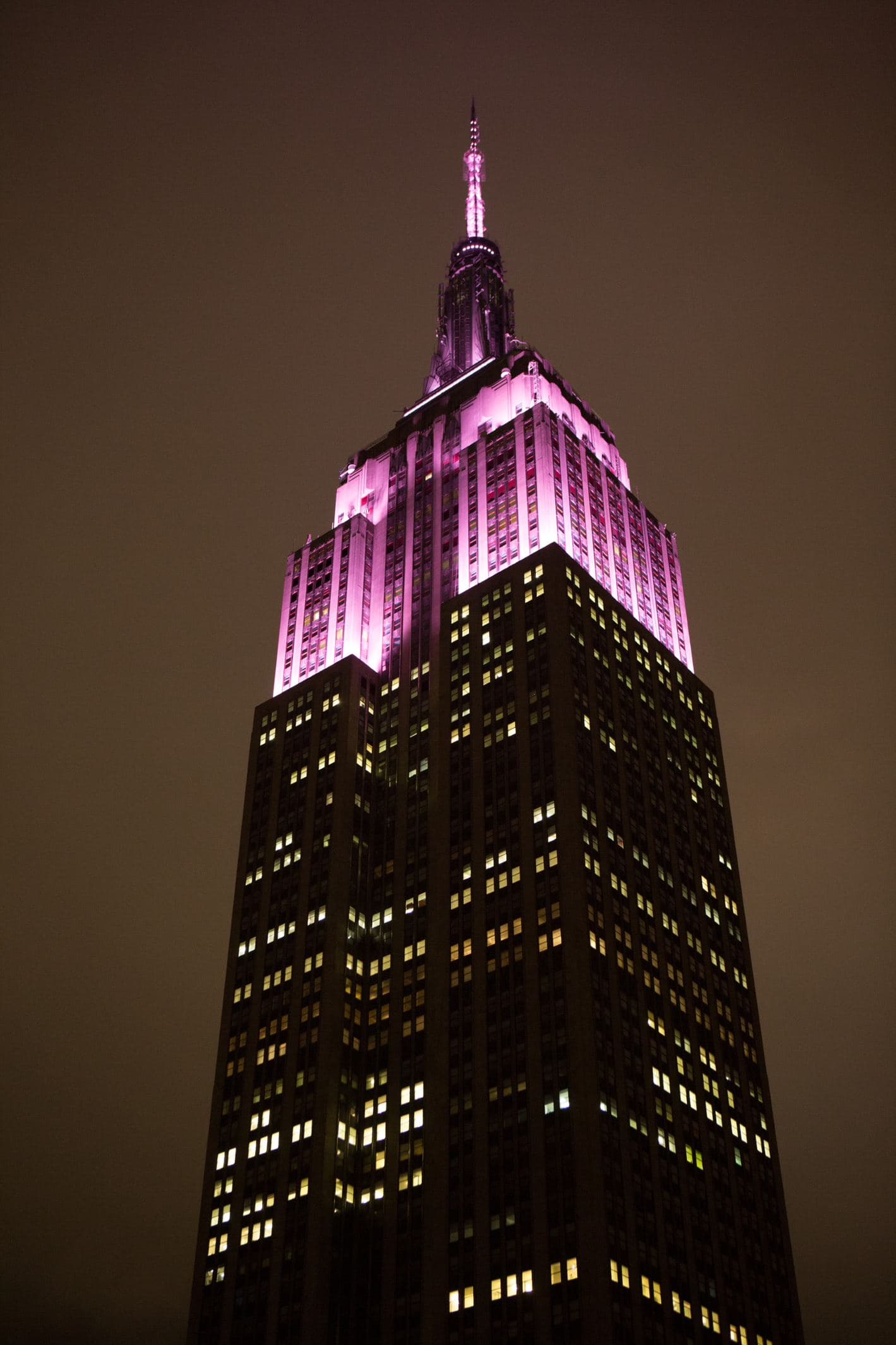 PINK LIGHTS