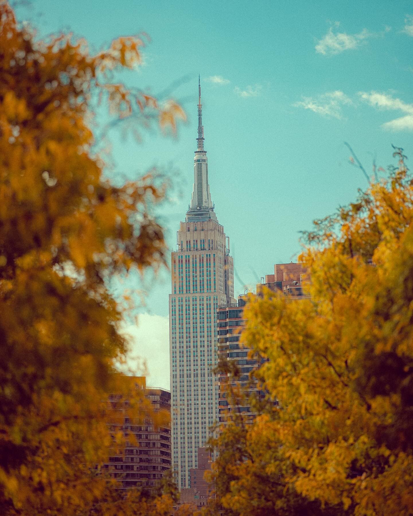 Discover the Perfect Fall Activities in NYC