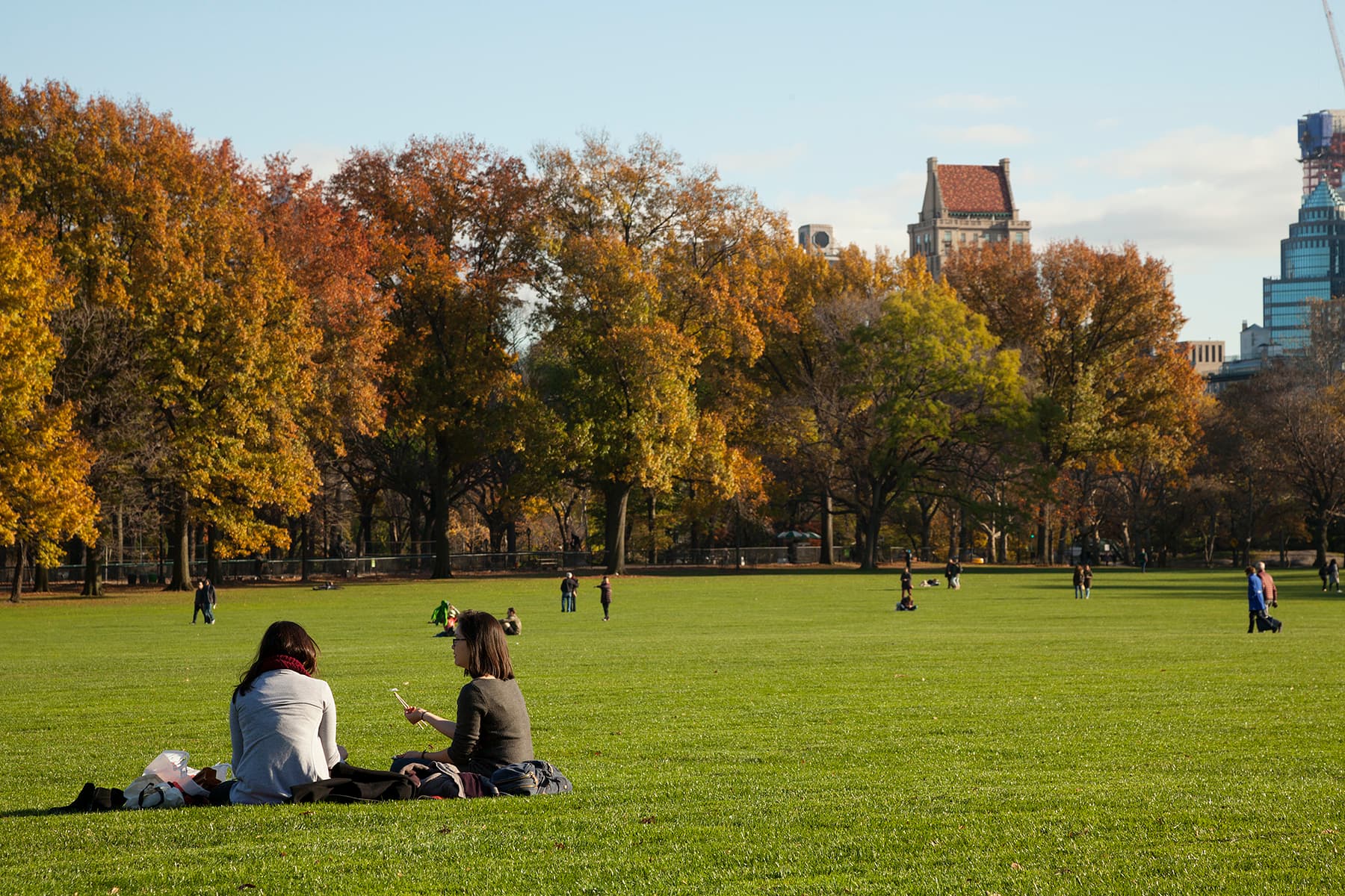 Central Park on a sunny day