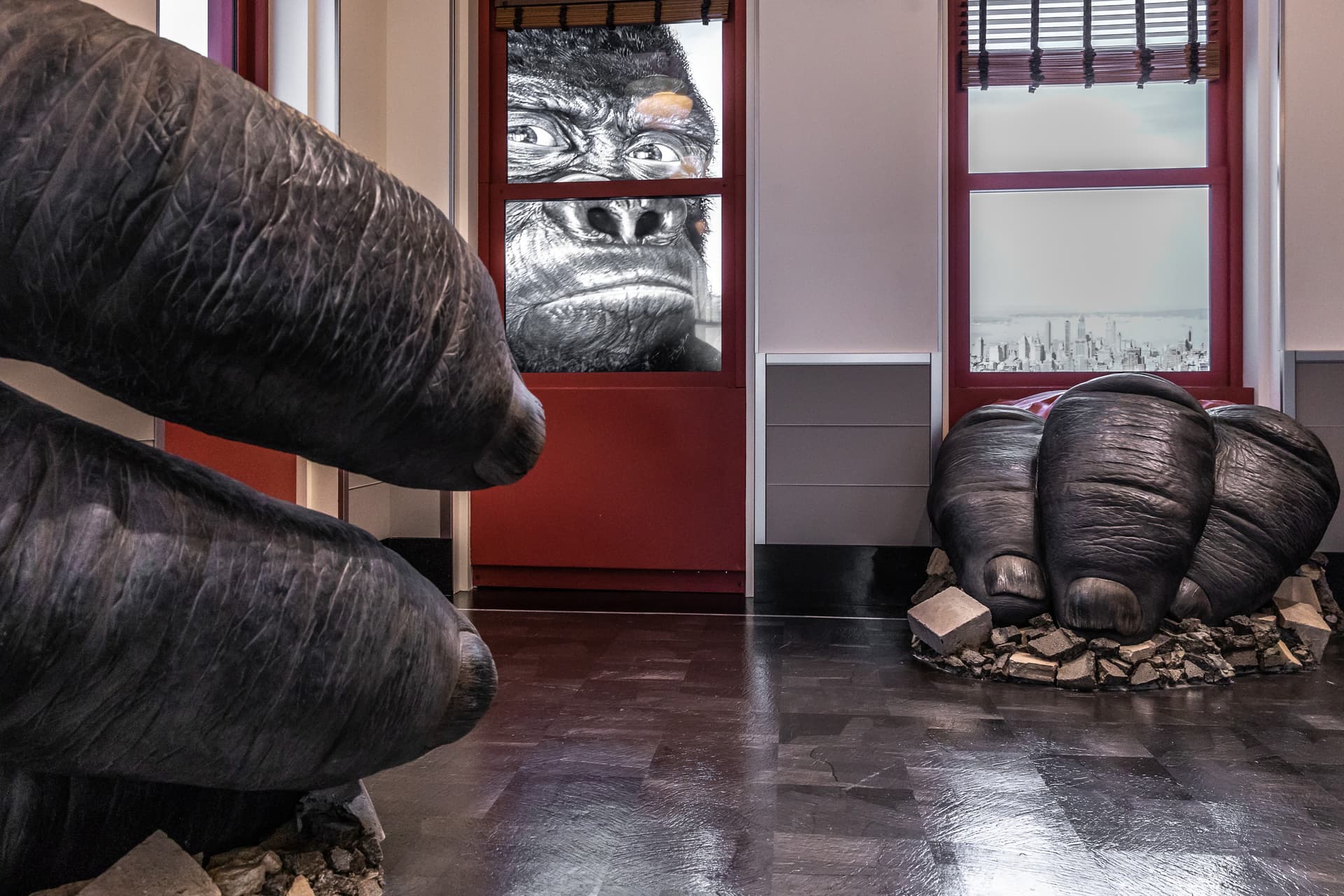 The Kong exhibit at ESB