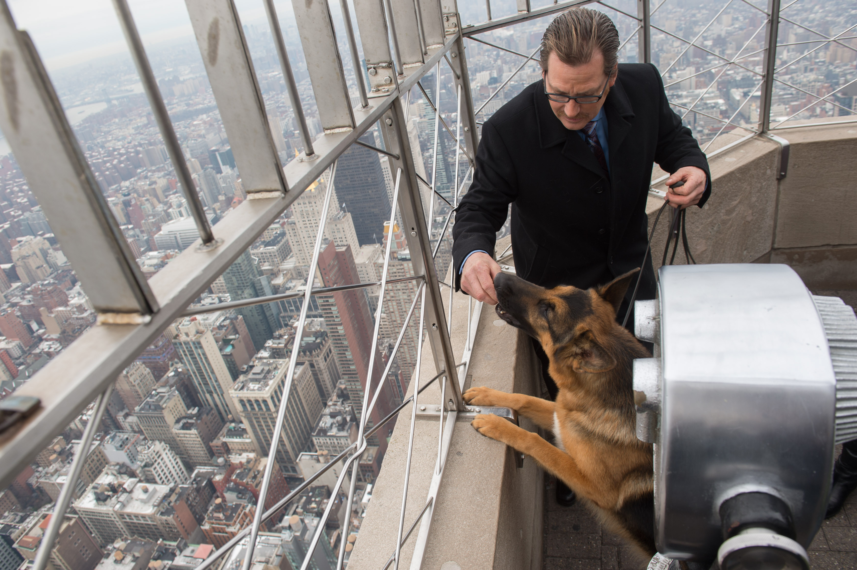 Cães de Nova York: os visitantes de quatro patas favoritos do ESB