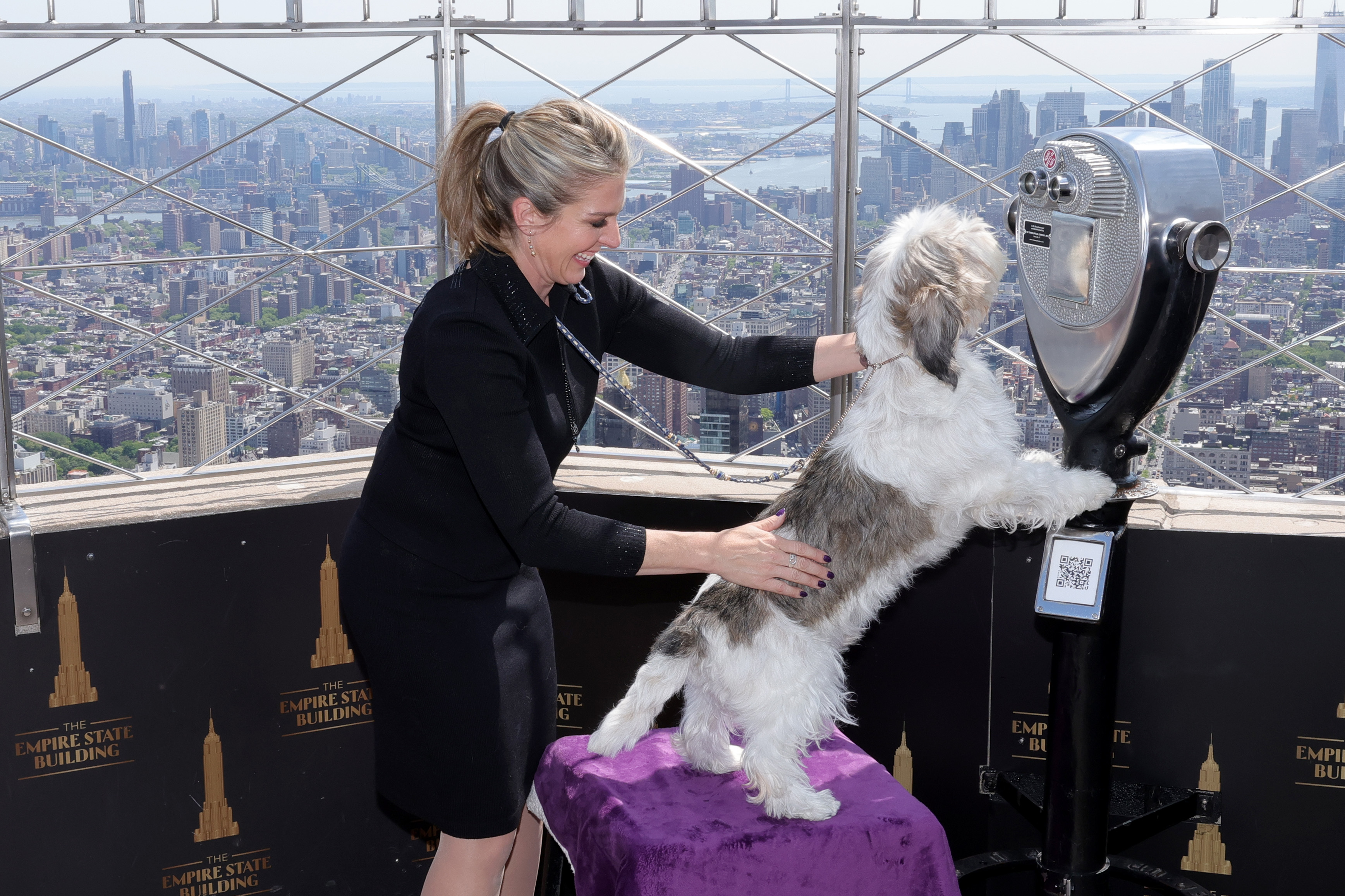 Cães de Nova York: os visitantes de quatro patas favoritos do ESB