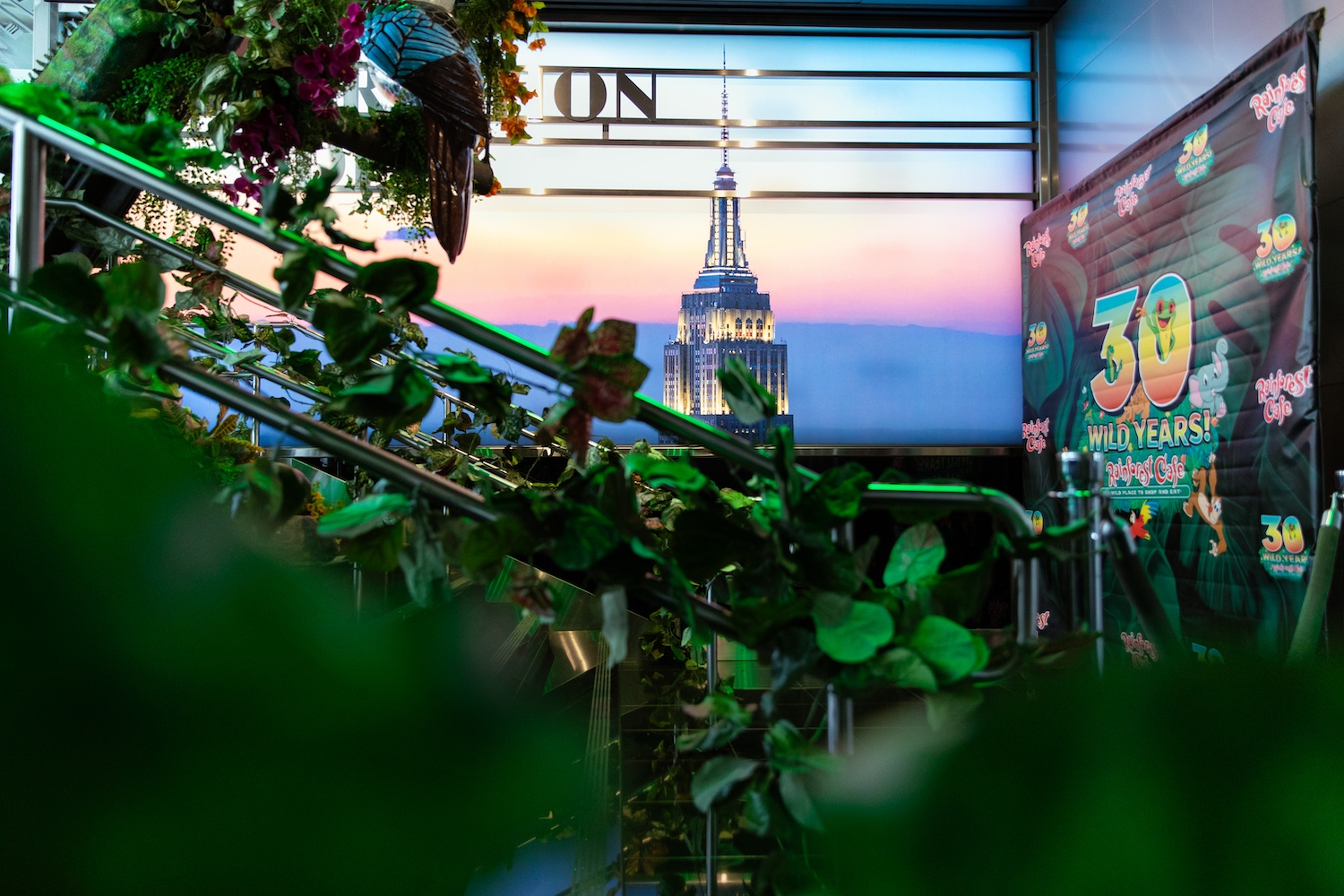 Rainforest Cafe Partners Up with ESB For a Limited-Time Pop Up