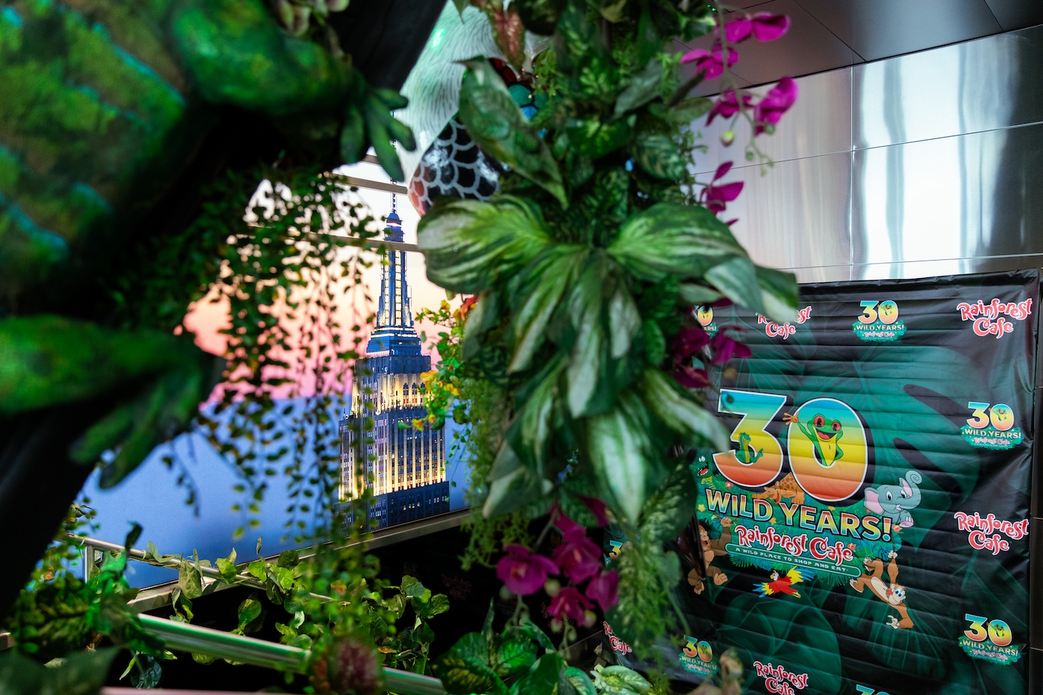 Rainforest Cafe Partners Up with ESB For a Limited-Time Pop Up