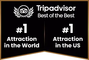 trip advisor