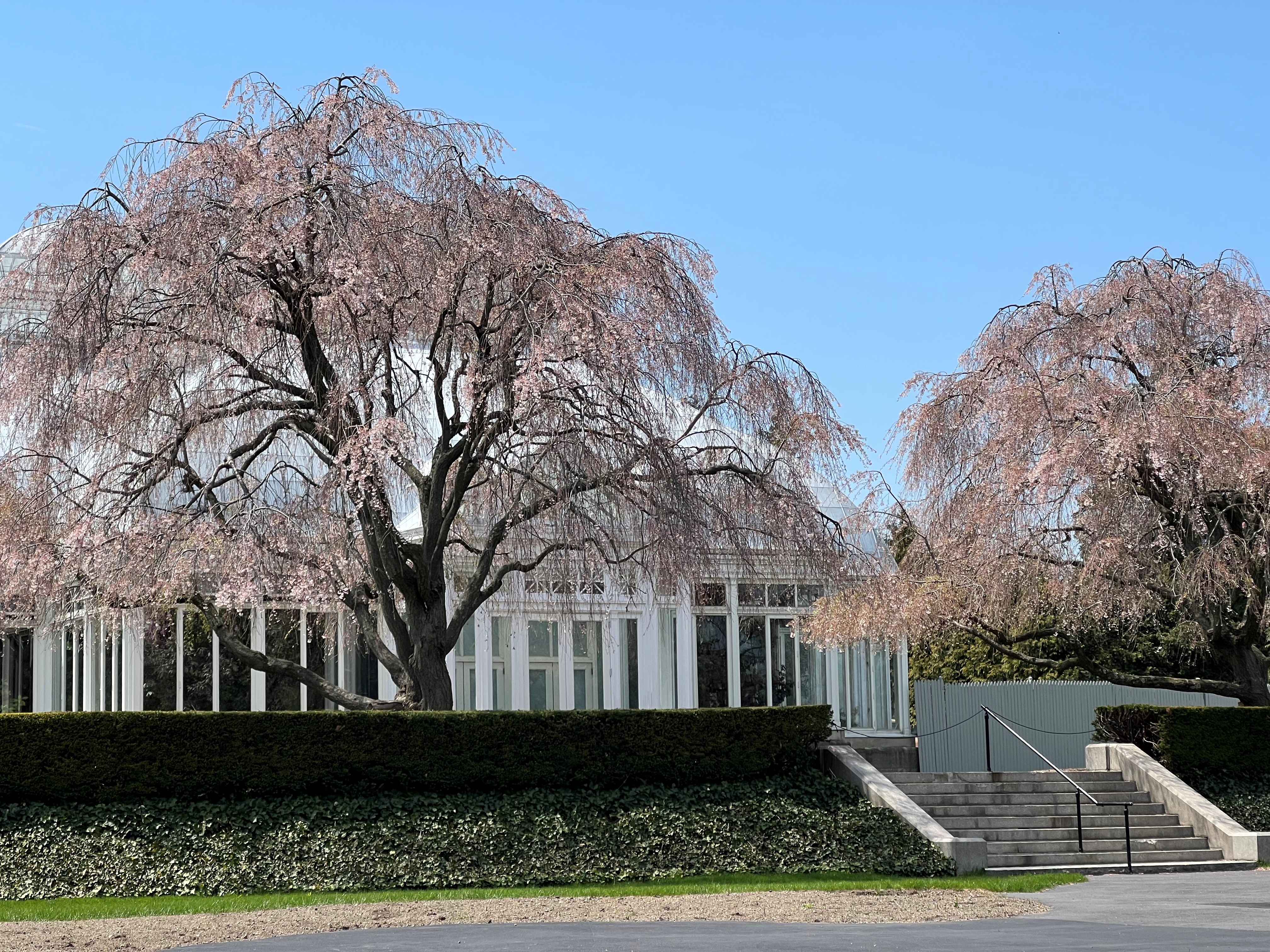 New York Botanical Garden