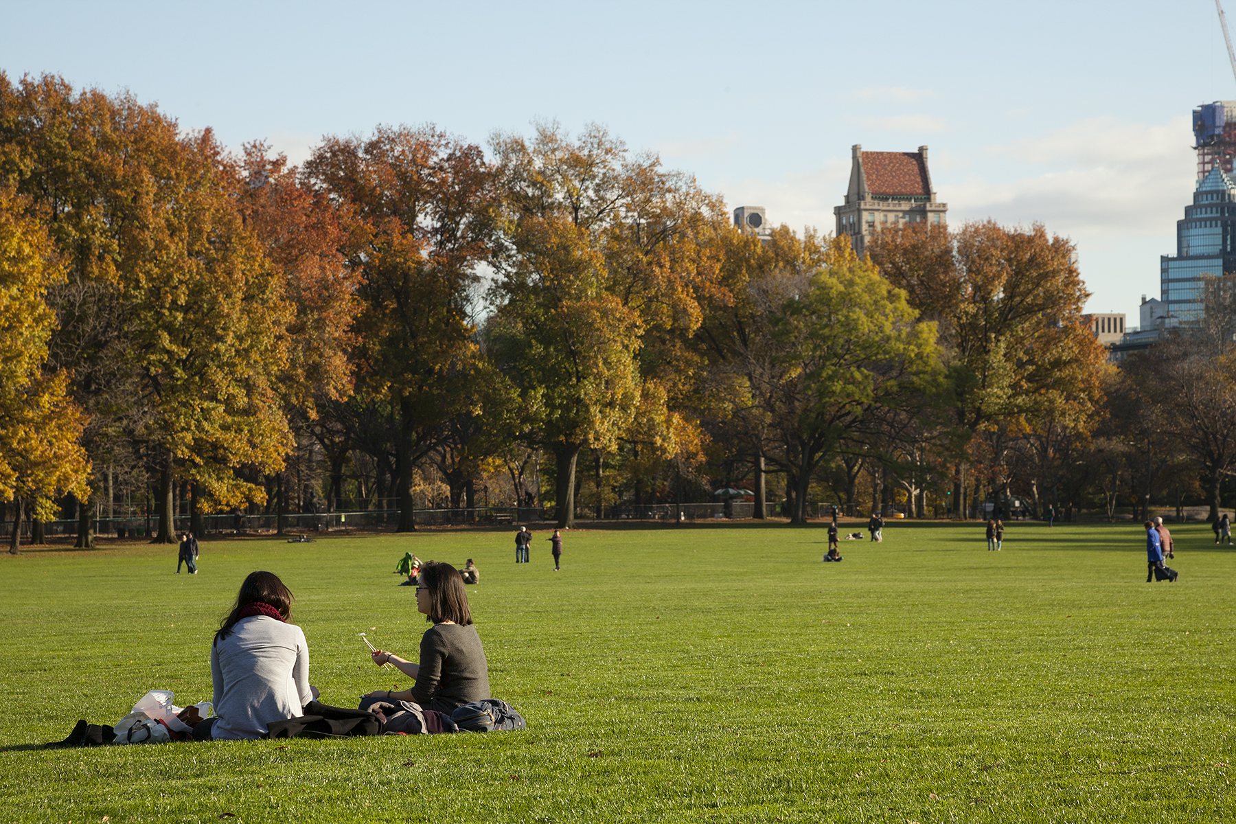 Central Park on a sunny day
