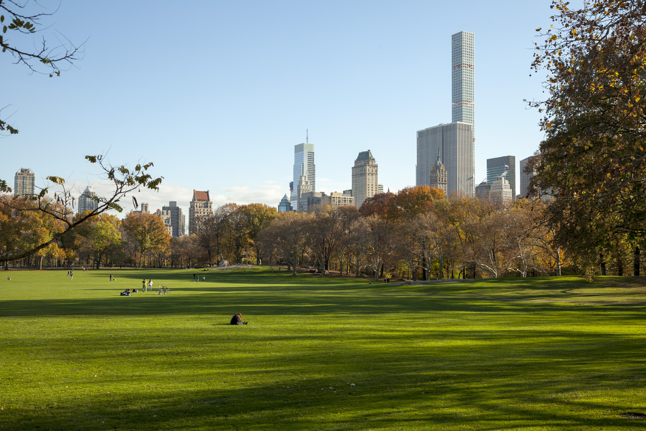 Central Park on a sunny day