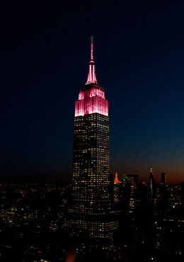 Tomorrow Maroon color