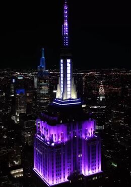 Amazon.co.jp: アメリカンスティールサイン Empire State