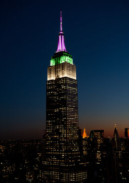 Tomorrow White, Green and Purple color