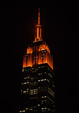 Tomorrow Orange and Green color