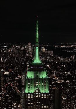 Tomorrow SIGNATURE WHITE color