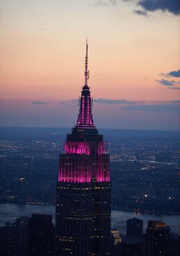 Mañana color rosa latido del corazón