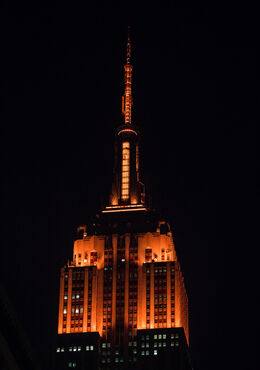 Tomorrow Green color