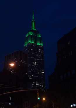 Tomorrow Green color