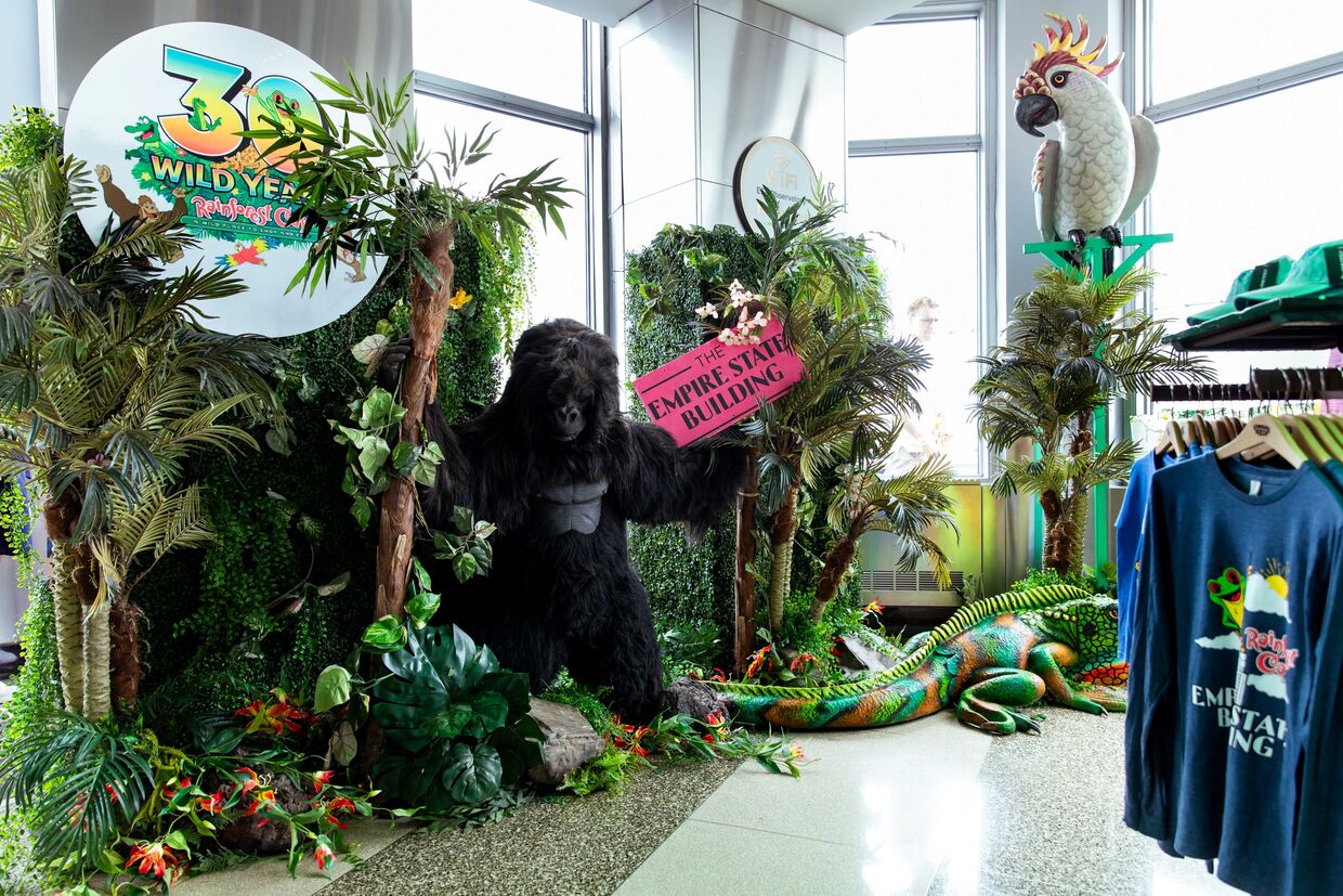 The Rainforest Cafe Pop-up at the Empire State Building