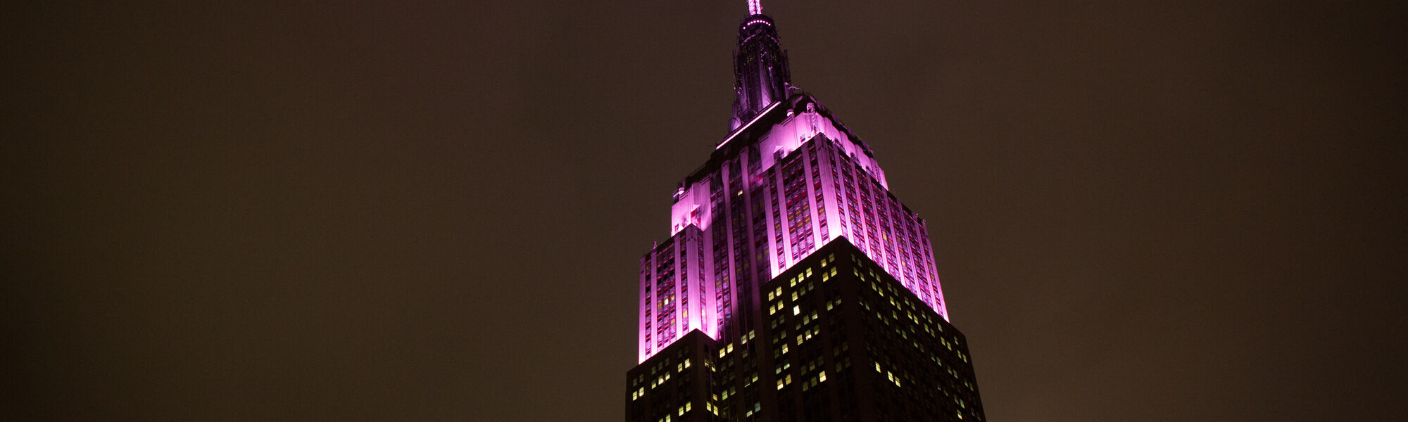 ESBがピンク色に輝く