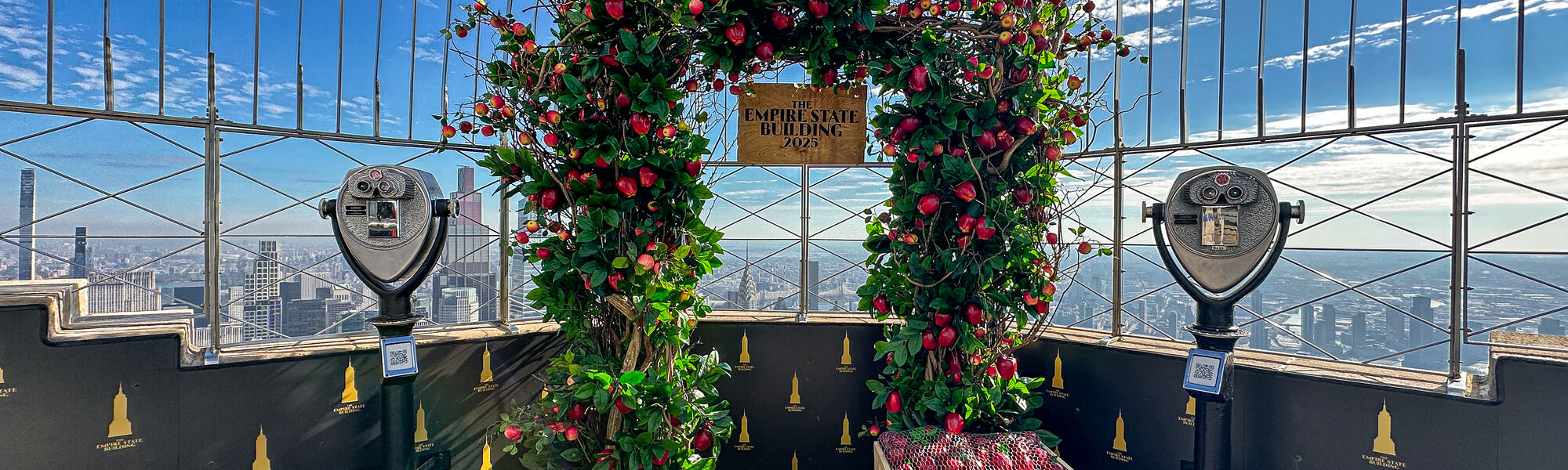 ESB Fall Corner