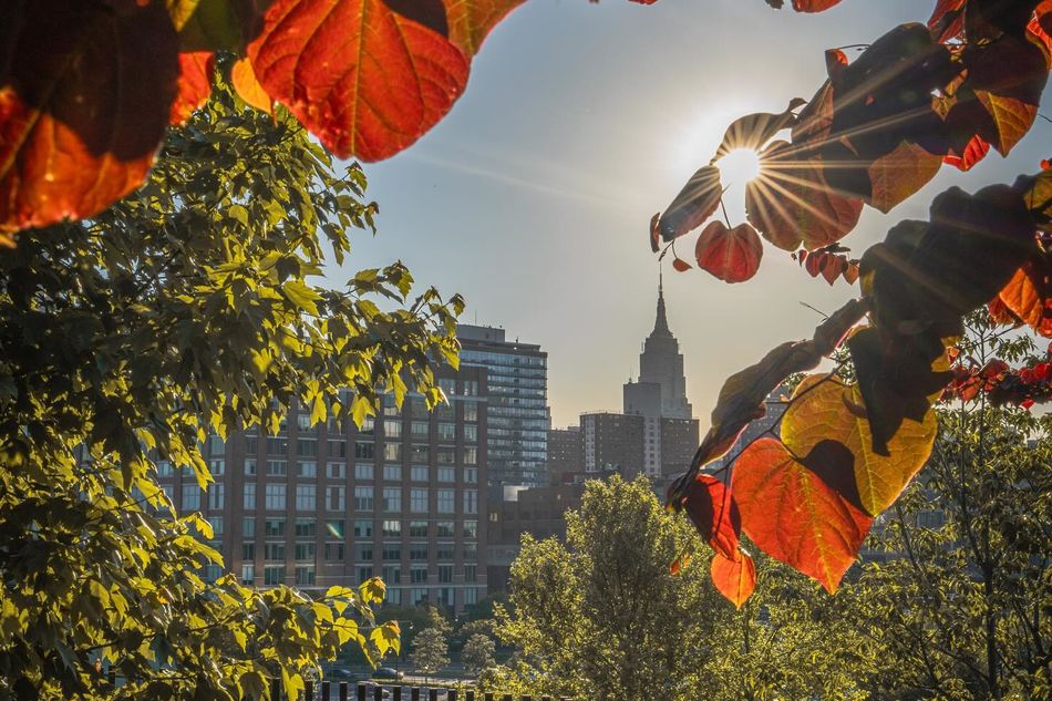 Discover the Perfect Fall Activities in NYC
