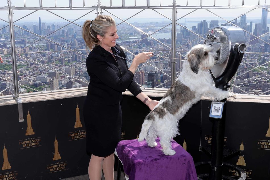 Buddy Holly the dog at the Empire State Building