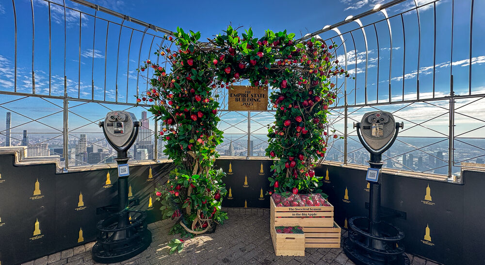 ESB Fall Corner