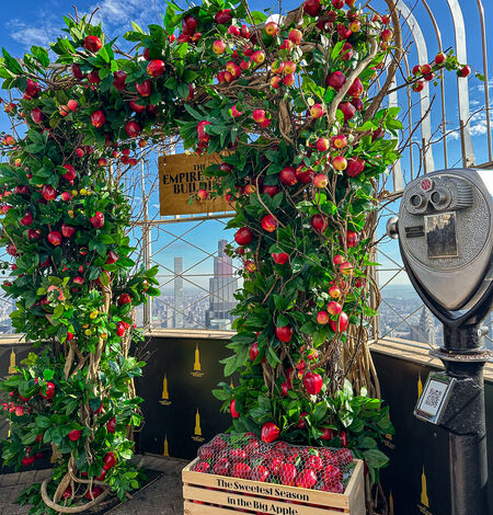 ESB's fall photo corner