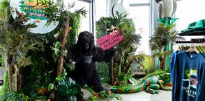 The Rainforest Cafe Pop-up at the Empire State Building