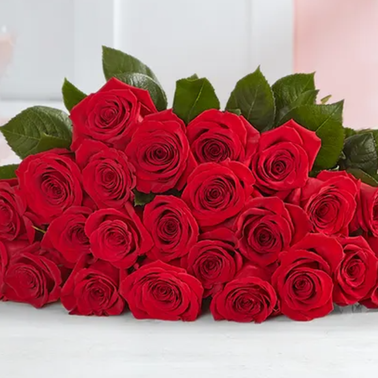 Roses