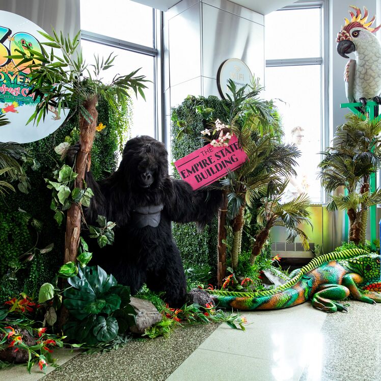 The Rainforest Cafe Pop-up at the Empire State Building