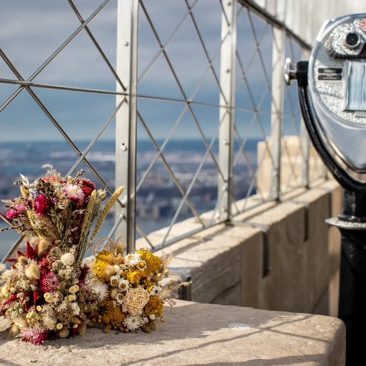 Propose at the top of ESB image