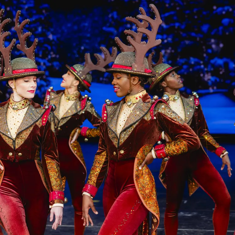Radio City Rockettes Image