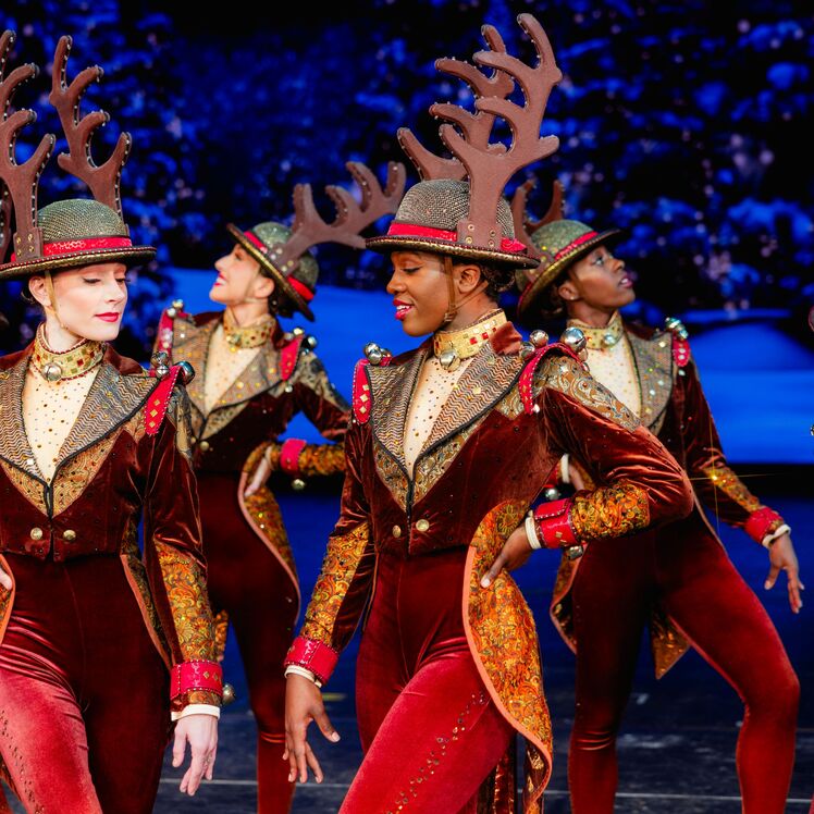 Radio City Rockettes Image