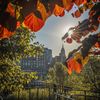 Discover the Perfect Fall Activities in NYC