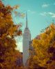 Discover the Perfect Fall Activities in NYC