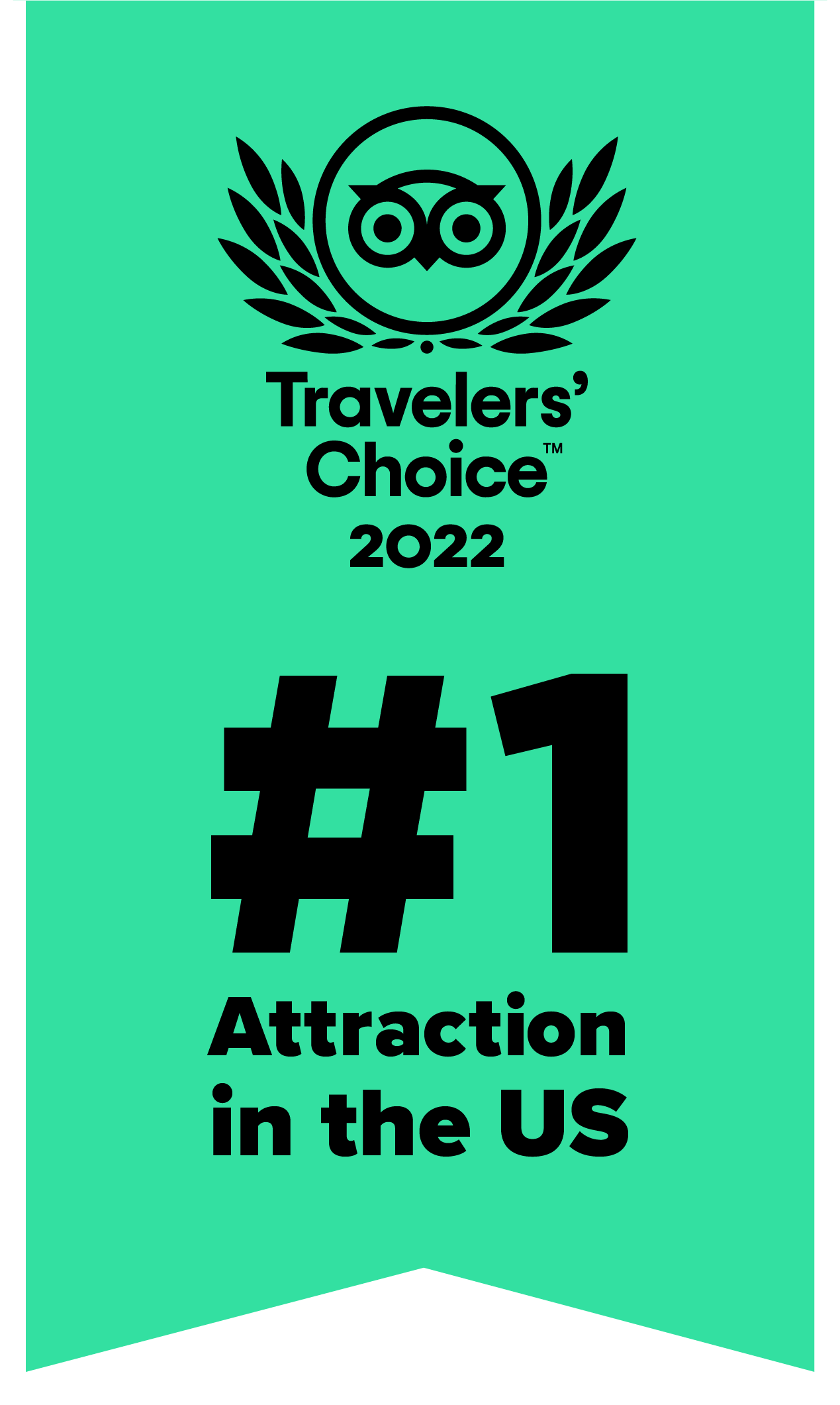 trip advisor